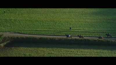 When he came to Kingsclere,
once he got over the first two weeks, - Horsepower