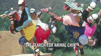 When it came
to make Animal Chin, - Unbanned: The Legend of AJ1