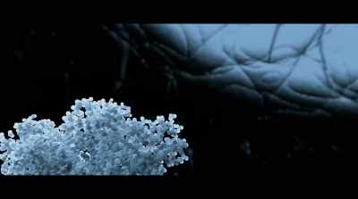 When Cas9 polices the
intercellular neighborhood - Human Nature