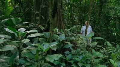 When Charles Darwin was exploring
the tropical world - The Green Planet