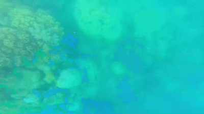 When they come back, - Below Deck Down Under