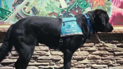 When it comes to hearing,
because they hear higher frequencies, - Inside the Mind of a Dog