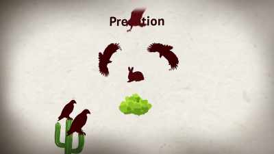 When it comes out the other side, - United States of Animals