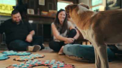 When you communicate with somebody
of another species, it's mind blowing. - Inside the Mind of a Dog