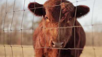 When you consider the impact - Why on Earth