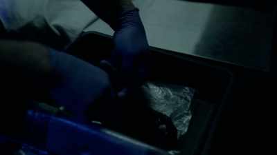 When Corey's panties were unrolled, pulled apart, - The Killer Truth