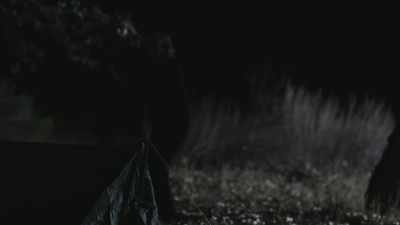 When he described the manner - Buried In The Backyard