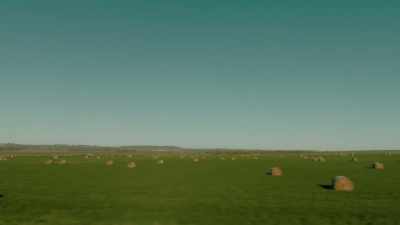 When did you come to realise - Tin Star