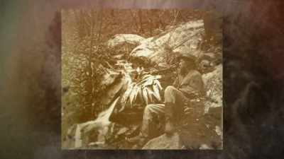 When they did get
the occasional deer - Yellowstone: One-Fifty