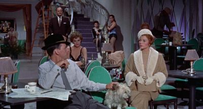 When did she spring from the chorus Who - Pal Joey