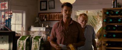 When did we start selling paint - Safe Haven