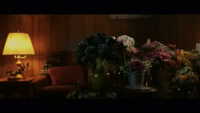 They just arrived yesterday while you guys were driving home. - The Conjuring: The Devil Made Me Do It