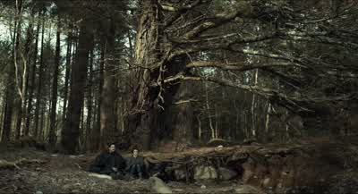When did you become short-sighted? - The Lobster