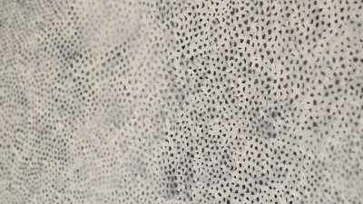 When you do a painting of that size, - Kusama : Infinity