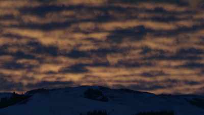 When they do, they'll
announce it to the world. - Yellowstone: One-Fifty