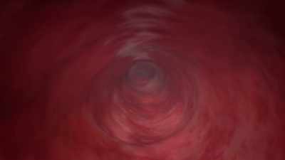 When you eat something,
dendritic cells eat, too, in a way. - Human: The World Within