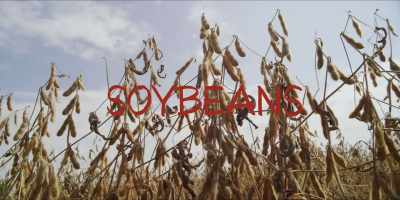 When every person we've
talked to about farming - Hot Money