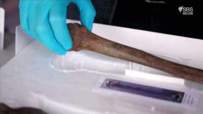 When experts analysed
the unsettling find, - Curse of the Ancients with Alice Roberts