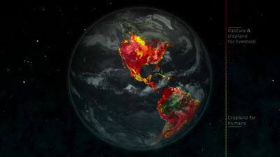 When you factor in everything - Racing Extinction