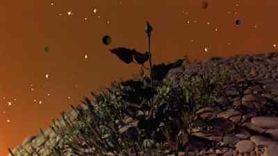 When she first came
through the ground, - The Little Prince