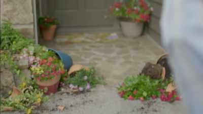 When we first walked up to the front porch, - The Killer Truth
