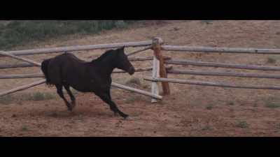 When you get a new horse
and you don't know - My Heroes Were Cowboys