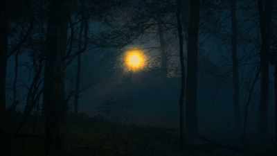 When we get back to the lodge, - Lovecraft Country