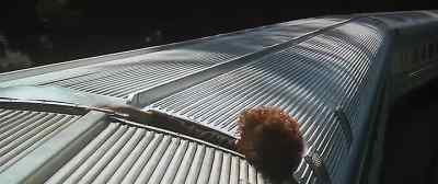 When you get on the roof, lie flat! - Narrow Margin
