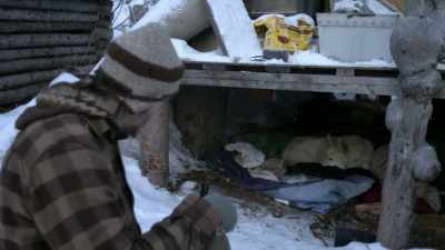 When it gets
pretty cold outside, - Life Below Zero: Next Generation