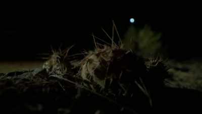 When you go there, remember,
throughout history, - Jack Osbourne's Night of Terror: UFOs