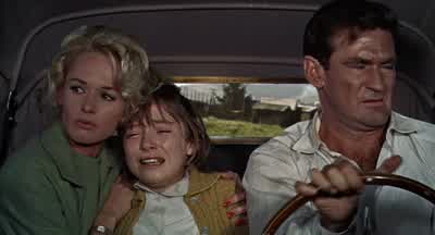When we got back from taking Michele home, we heard the explosion and we went outside to see what it was. - The Birds