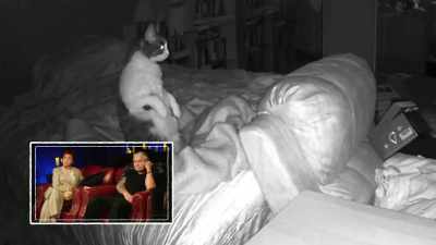 When they got back,
they realized the cats - The Osbournes Want to Believe