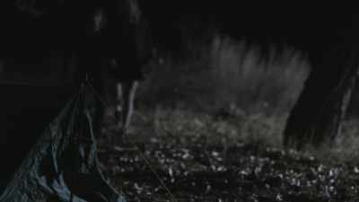 When they got to that location, - Buried In The Backyard