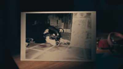  - When she got thea,
 she's just so happy. - Phrogging: Hider in My House