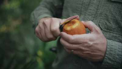 When my grandad would peel these, - Path of the Panther