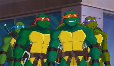 When you guys are out of town - Turtles Forever