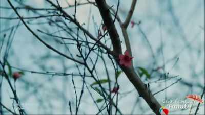When? How? Did she
say anything else? - Love in Bloom