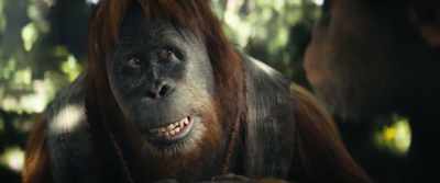 When humans and apes
lived side by side. - Kingdom of the Planet of the Apes