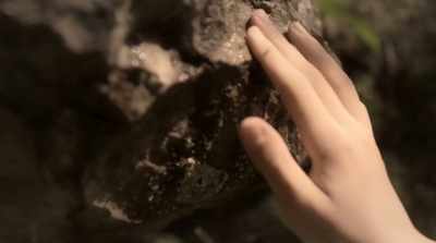 When I was a boy,
I spent all my spare time - David Attenborough: A Life on Our Planet