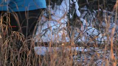 When I did my cold
weather survival training, - Life Below Zero: Next Generation