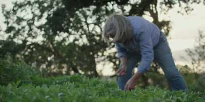 When I first met
Anthony and Carol, - Chef's Table: Pizza