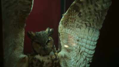 When I first met Laszlo, - What We Do in the Shadows