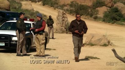 When I first noticed Cathartes
aura, the common turkey vulture, - CSI: Crime Scene Investigation