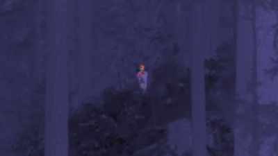  When I first saw you
 on that hillside, - Expedition Bigfoot