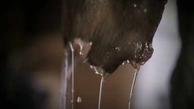 When I first skinned up the
beaver and started washing it, - Life Below Zero: Next Generation