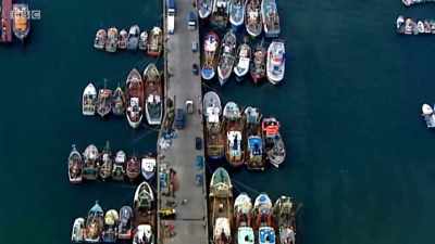 When I first started fishing, - Cornwall: This Fishing Life