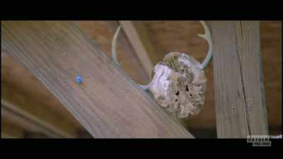  When I found out
 what had actually happened, - The Pike County Murders: A Family Massacre