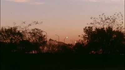 When I got back to the apartment,
it was past dawn. - The Janes