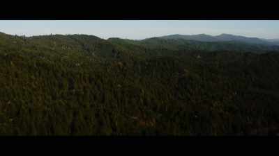 When I got to Northern
California back in 1993, - Sasquatch