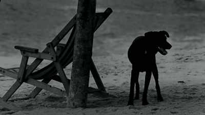 When I got to the beach, - The Last Narc